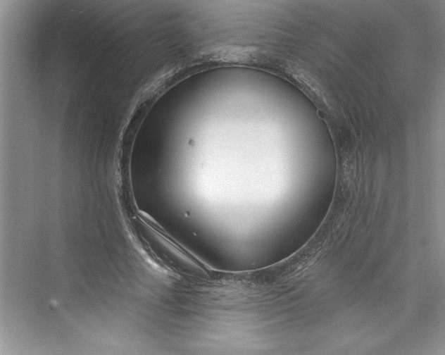 X0000073420682200608111351