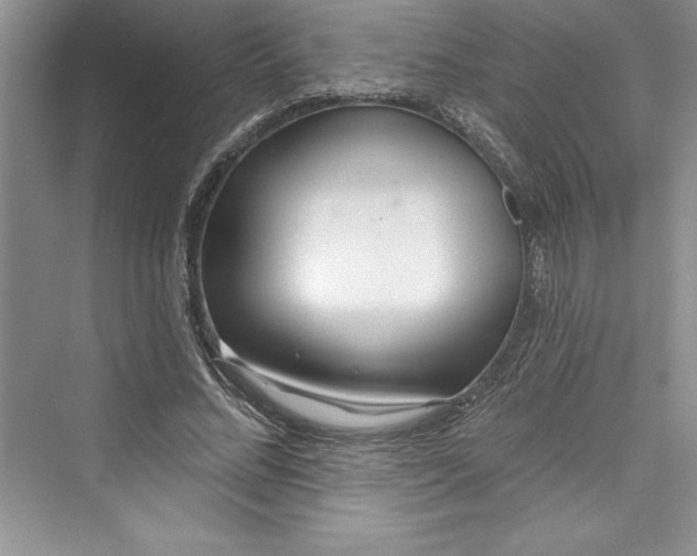 X0000073420684200608111351