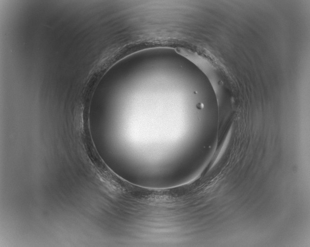 X0000073420685200608111351