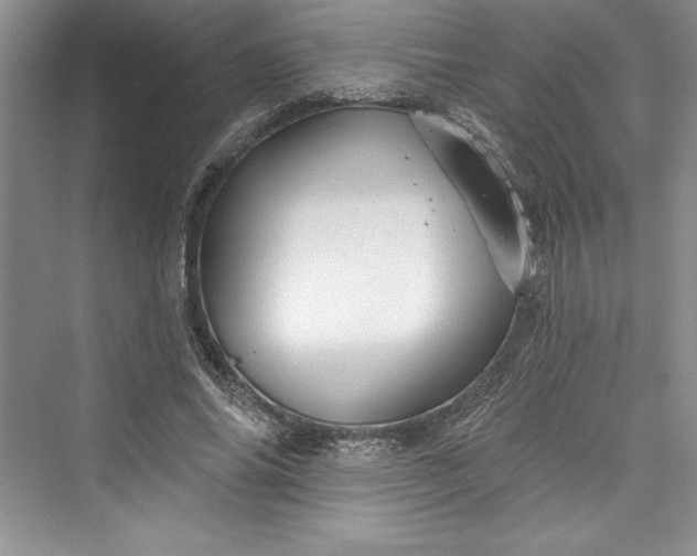 X0000073420686200608111351