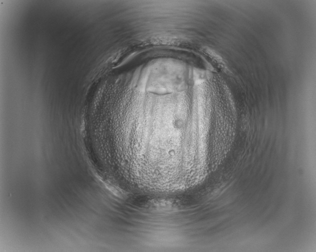 X0000073420687200608111351