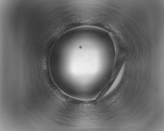 X0000073420689200608111351