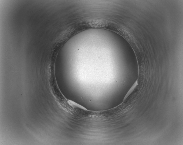 X0000073420690200608111351