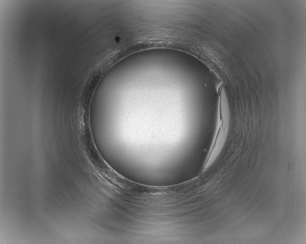 X0000073420692200608111351