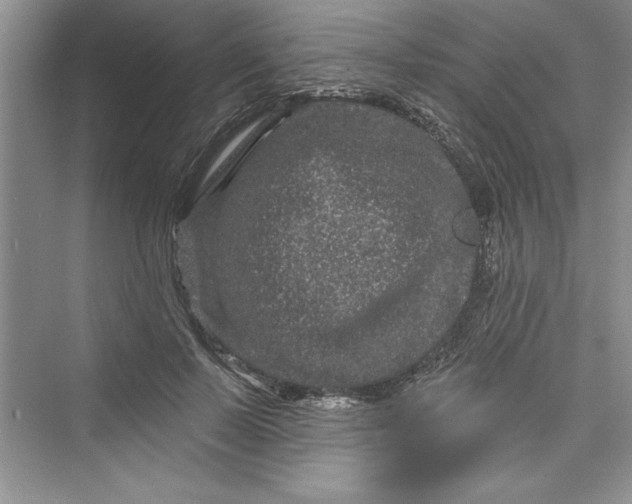 X0000073420695200608111351