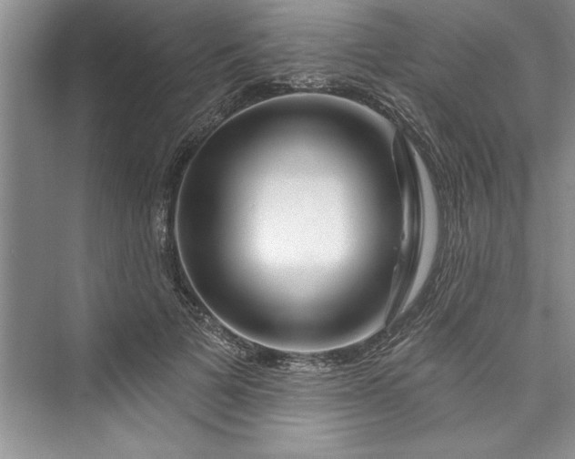 X0000073420697200608111351