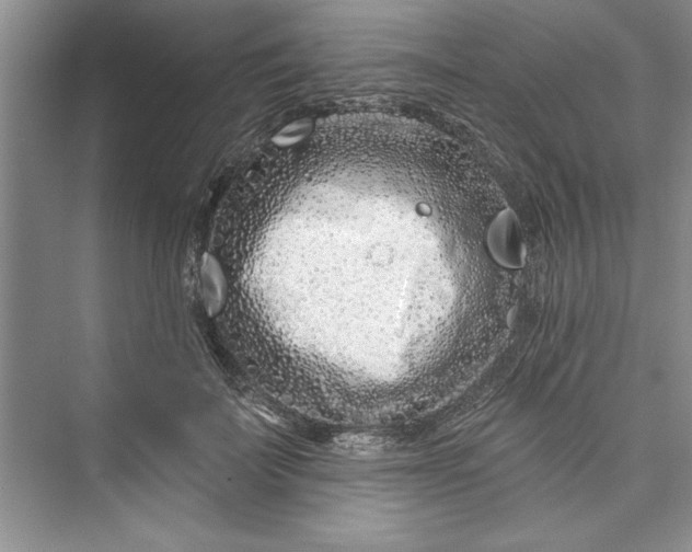 X0000073420699200608111351