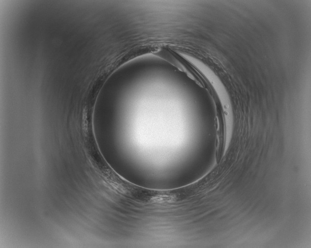 X0000073420700200608111351