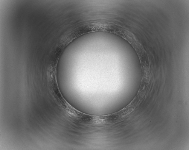 X0000073420701200608111351