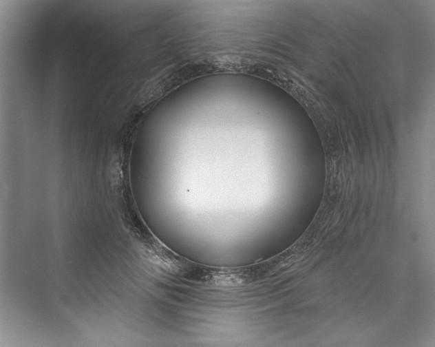 X0000073420702200608111351