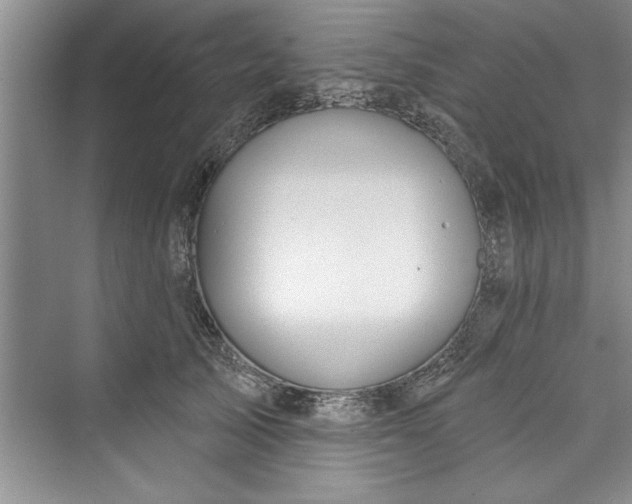 X0000073420705200608111351