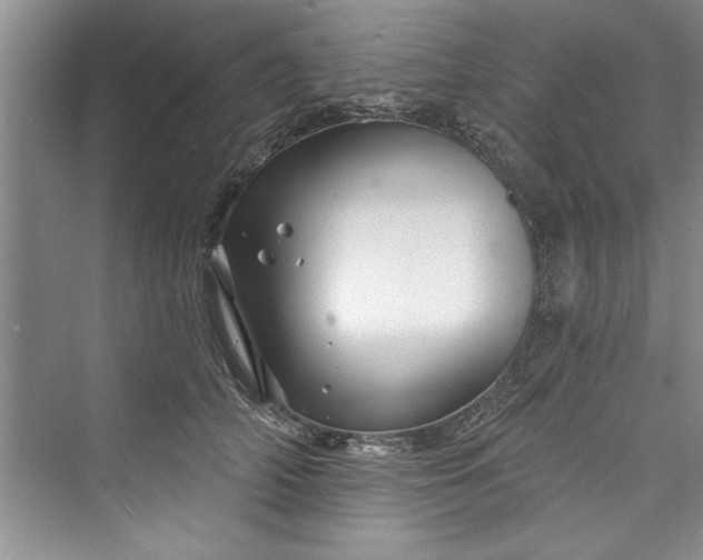 X0000073420706200608111351