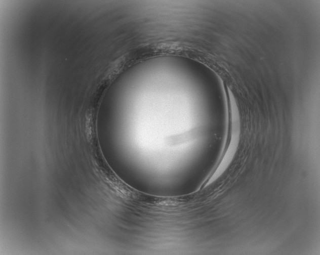 X0000073420708200608111351