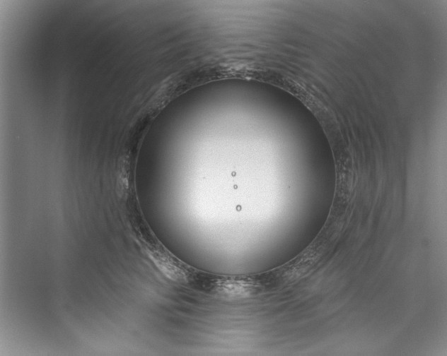 X0000073420710200608111351