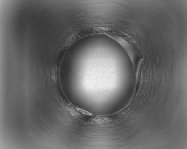 X0000073420712200608111351