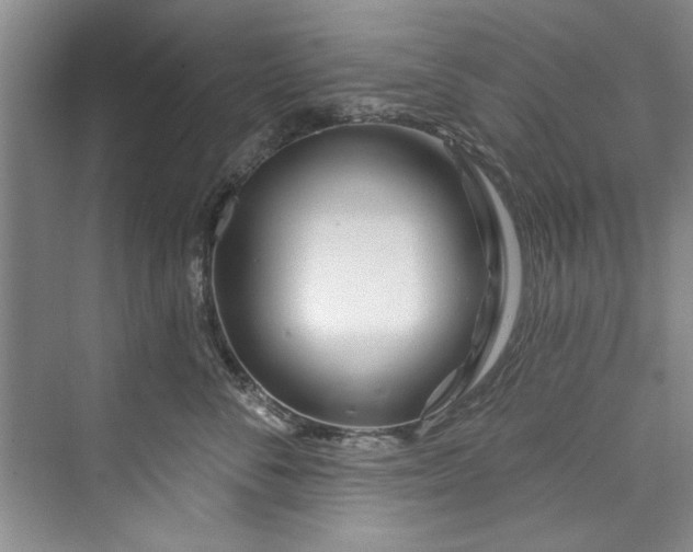 X0000073420716200608111351