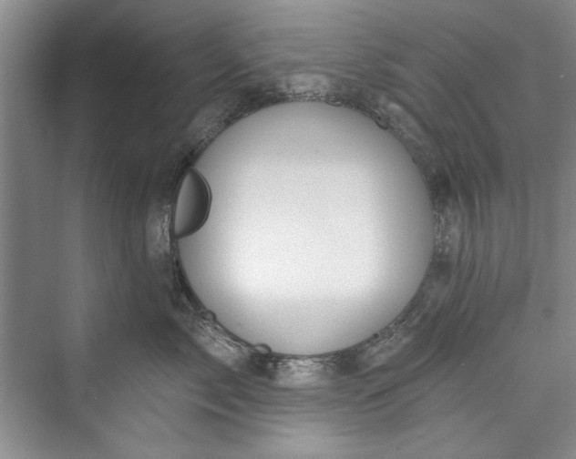 X0000073420717200608111351