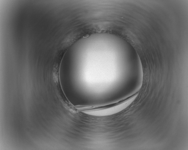 X0000073420719200608111351