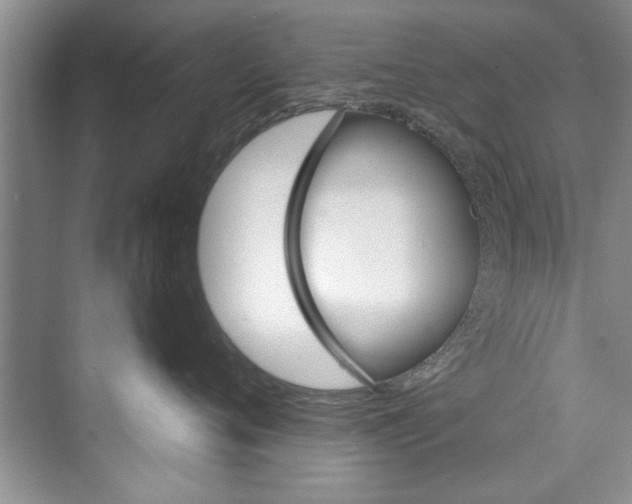 X0000073420720200608111351