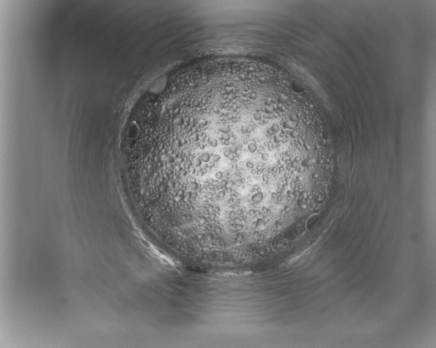 X0000073420721200608111350