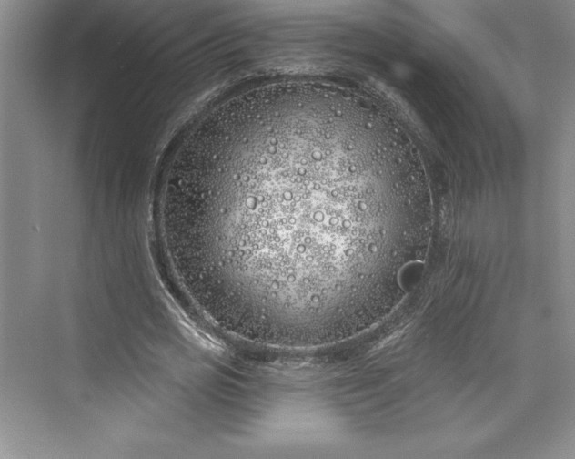 X0000073420725200608111350