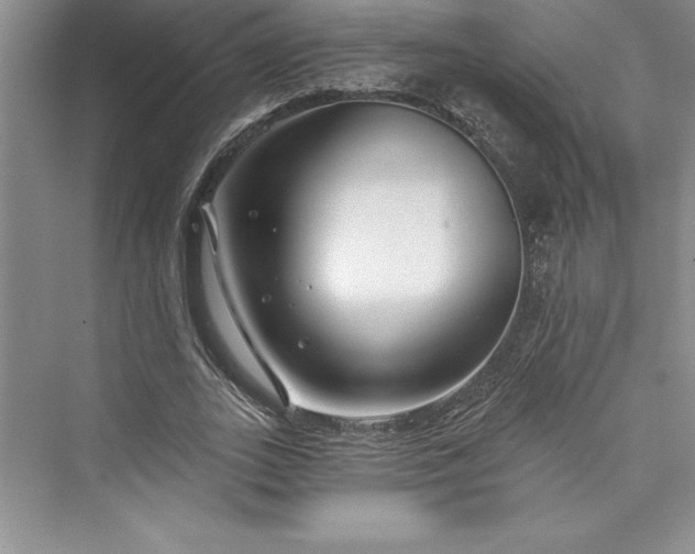 X0000073420727200608111350