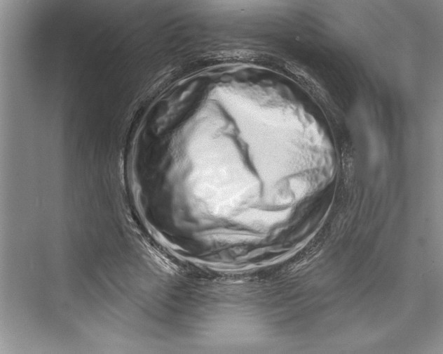 X0000073420729200608111350