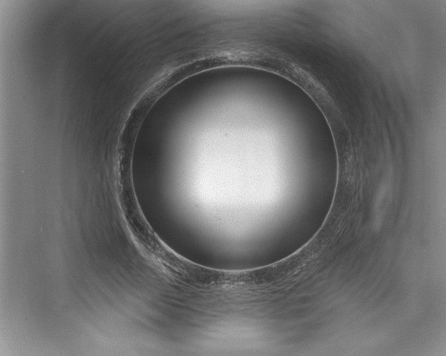 X0000073420730200608111350