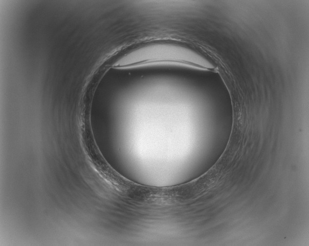 X0000073420732200608111350