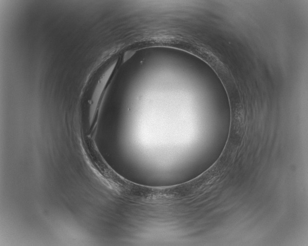 X0000073420734200608111350