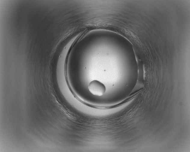 X0000073420735200608111350