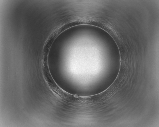 X0000073420736200608111350