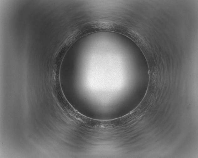 X0000073420739200608111350