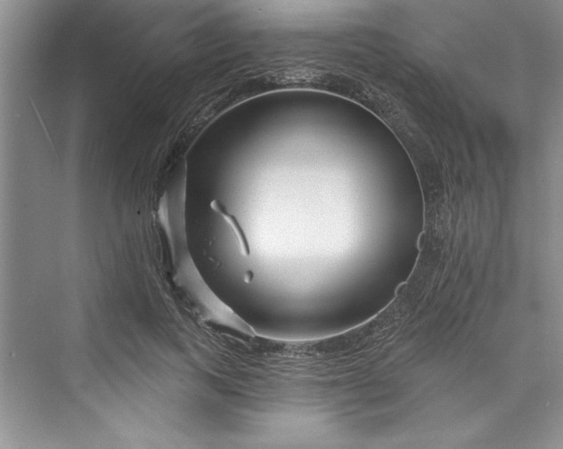 X0000073420743200608111350