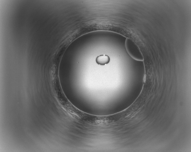 X0000073420744200608111350