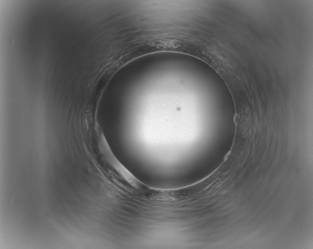 X0000073420747200608111350