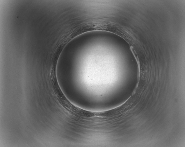 X0000073420748200608111350