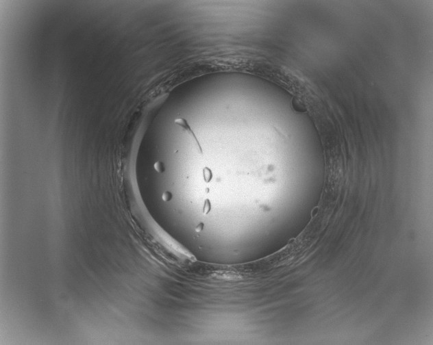 X0000073420749200608111350