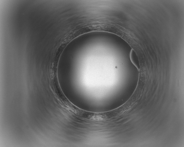 X0000073420751200608111350