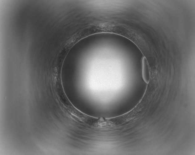 X0000073420752200608111350