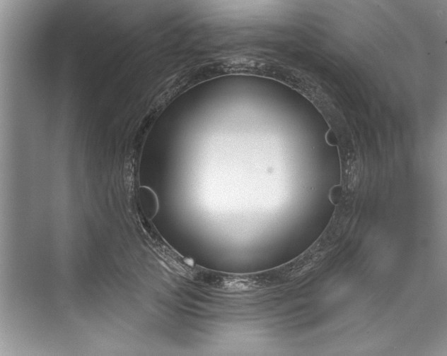 X0000073420753200608111351