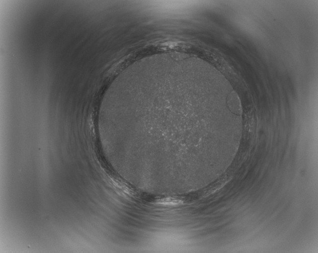 X0000073420754200608111351