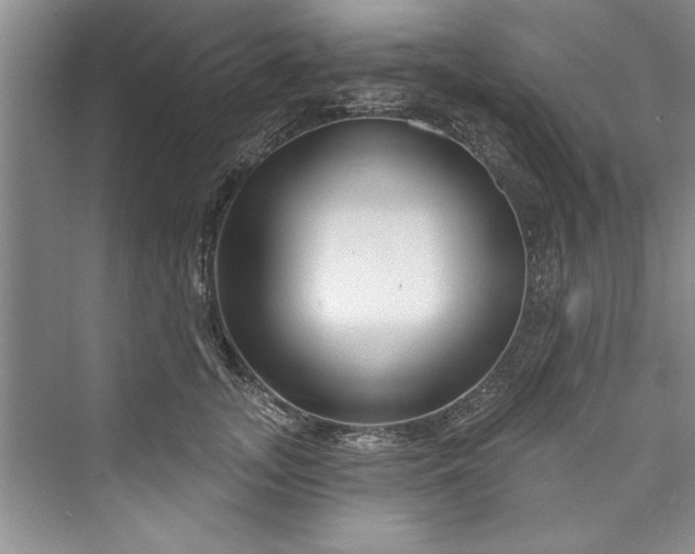 X0000073420755200608111351