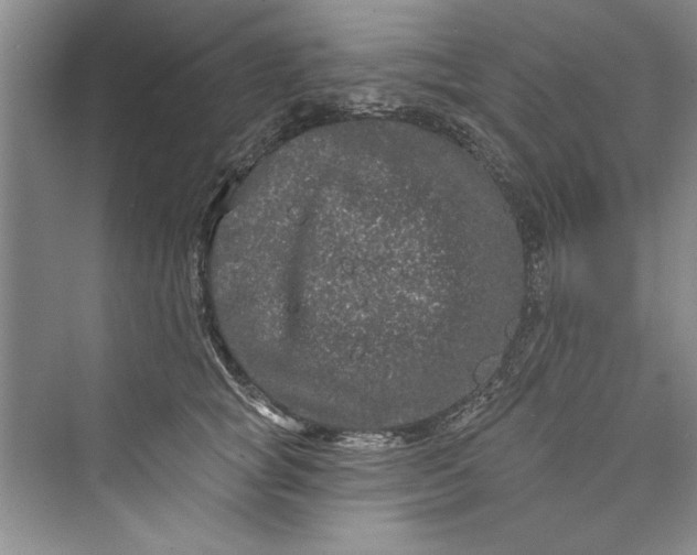 X0000073420757200608111351