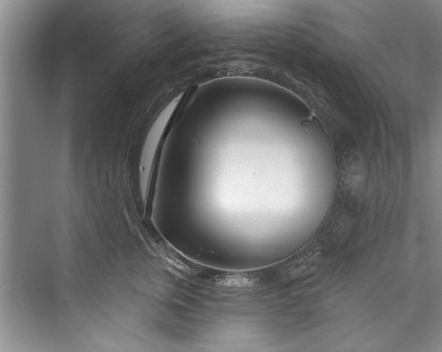 X0000073420759200608111351