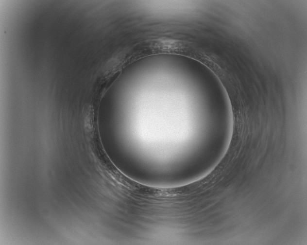 X0000073420760200608111351