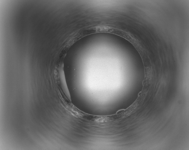 X0000073420761200608111351