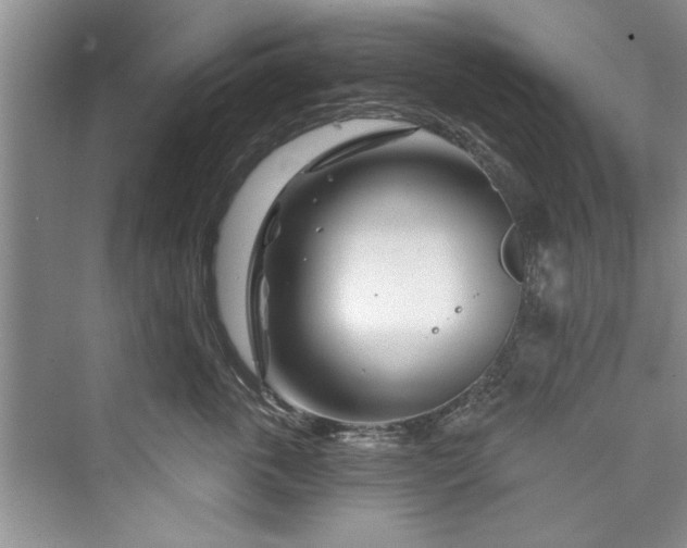 X0000073420763200608111351