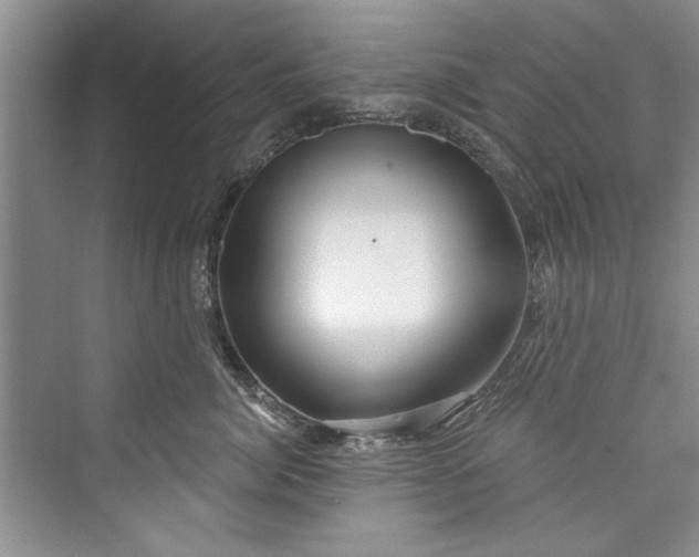 X0000073420764200608111351