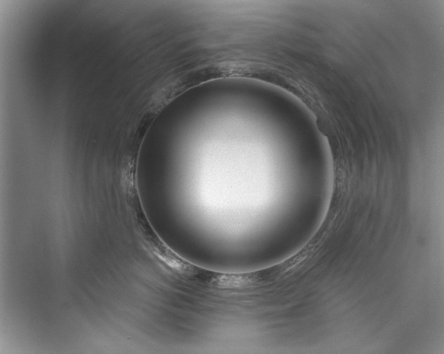 X0000073420766200608111351